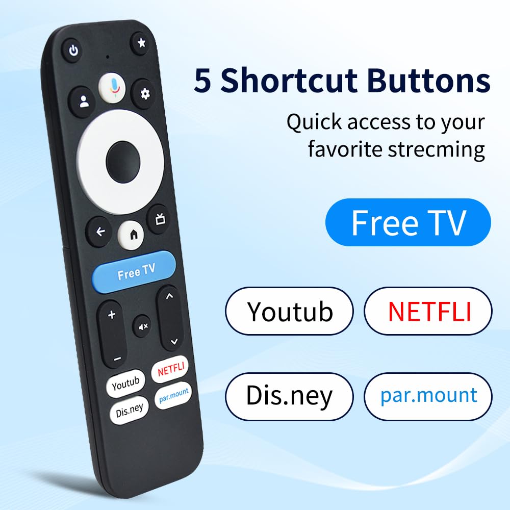 Voice Remote Replacement Control N333791