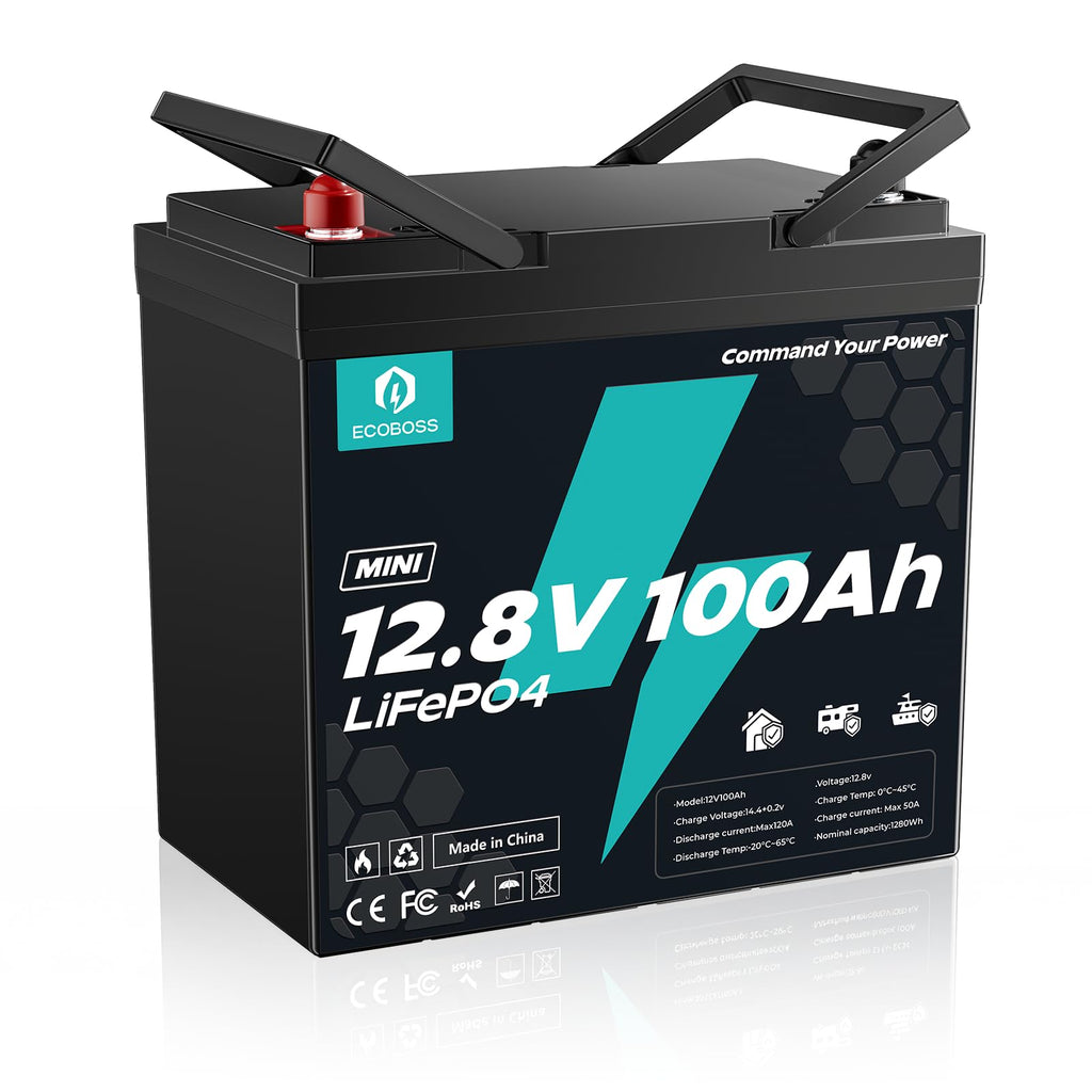 12V 100Ah LiFePO4 Battery G999853