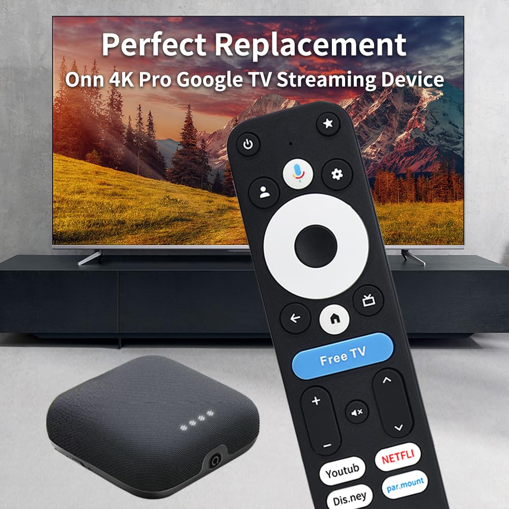 Voice Remote Replacement Control N333791