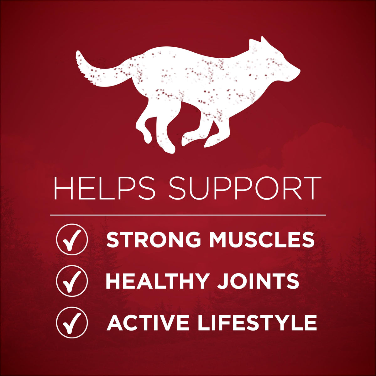 High Protein Chicken & Duck Dog Food V1360