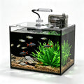 2.5 Gallon Aquarium Starter Kit with Light U961