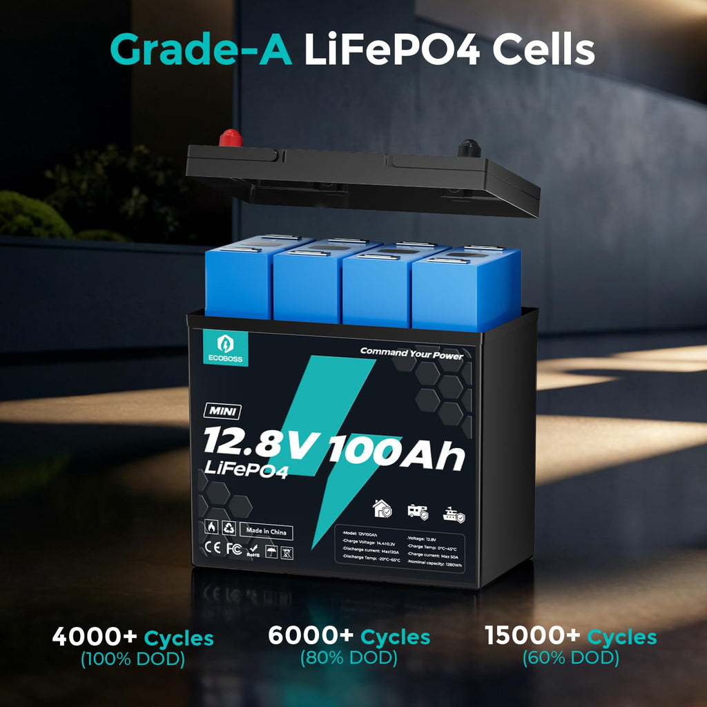 12V 100Ah LiFePO4 Battery G999853