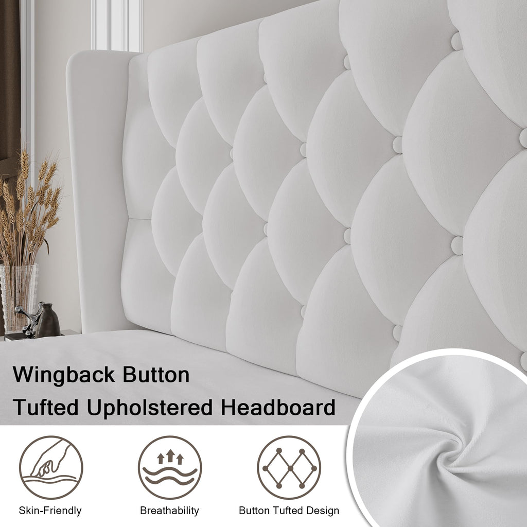 Queen Size Velvet Upholstered Platform Bed Frame with Wingback Headboard S357045