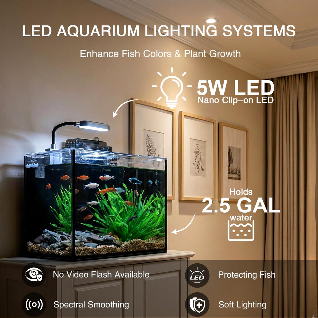 2.5 Gallon Aquarium Starter Kit with Light U961