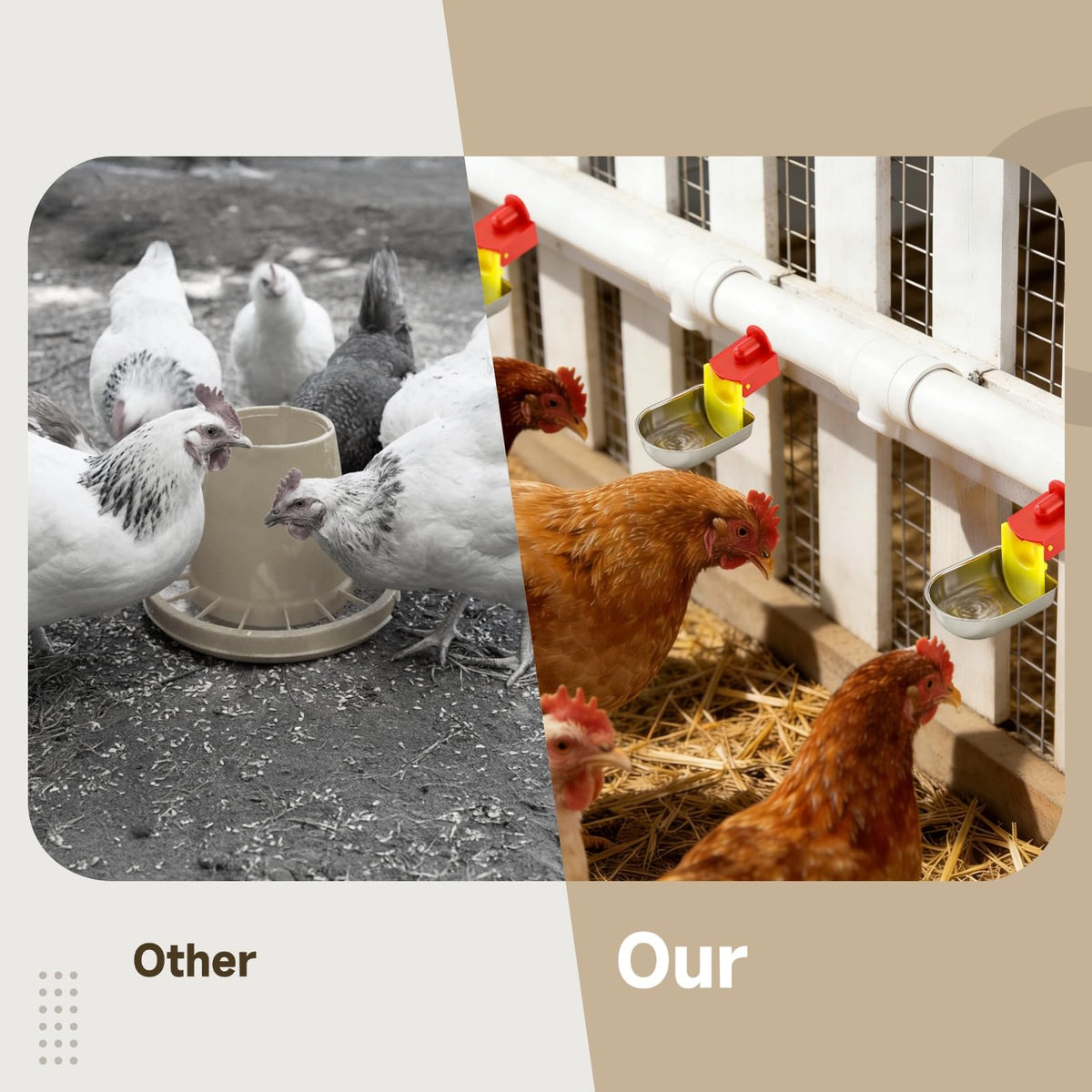 12 Pcs Stainless Self-Filling Chicken Water Cups V892