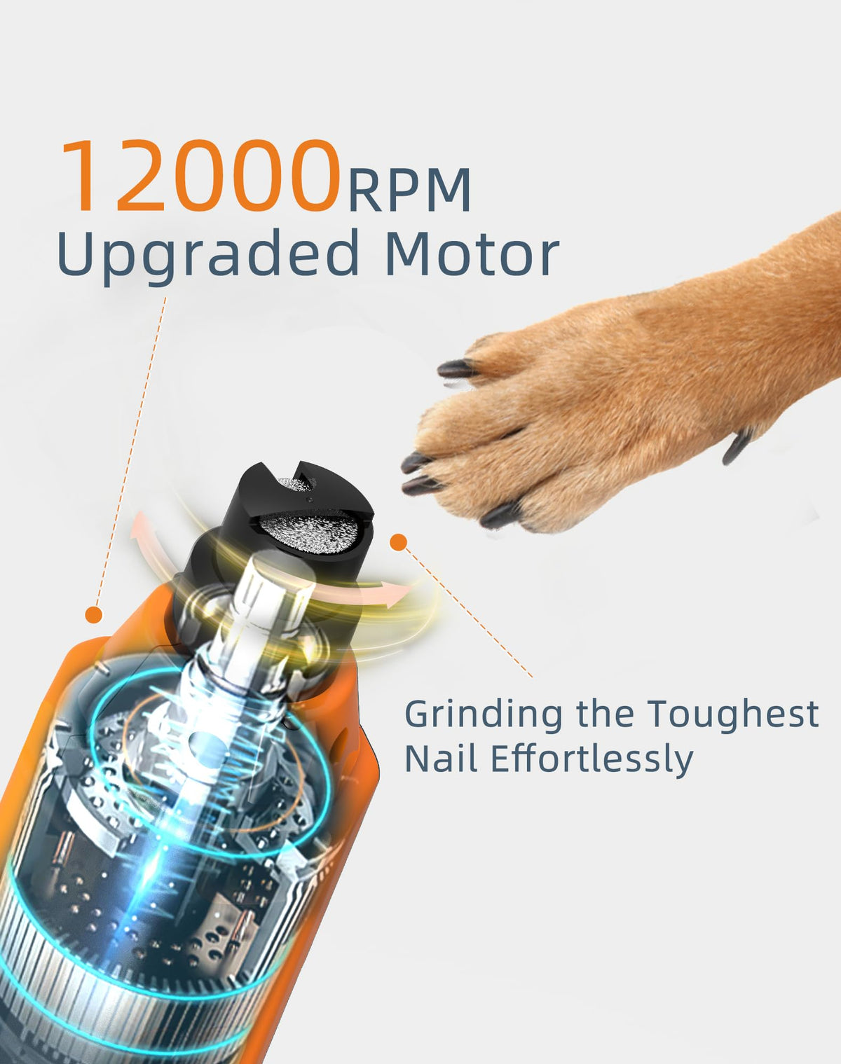 6-Speed Dog Nail Grinder with 2 LED Lights I106224