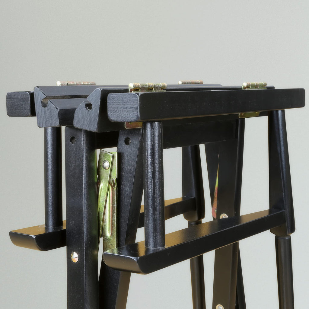 Black Director's Chair T890375