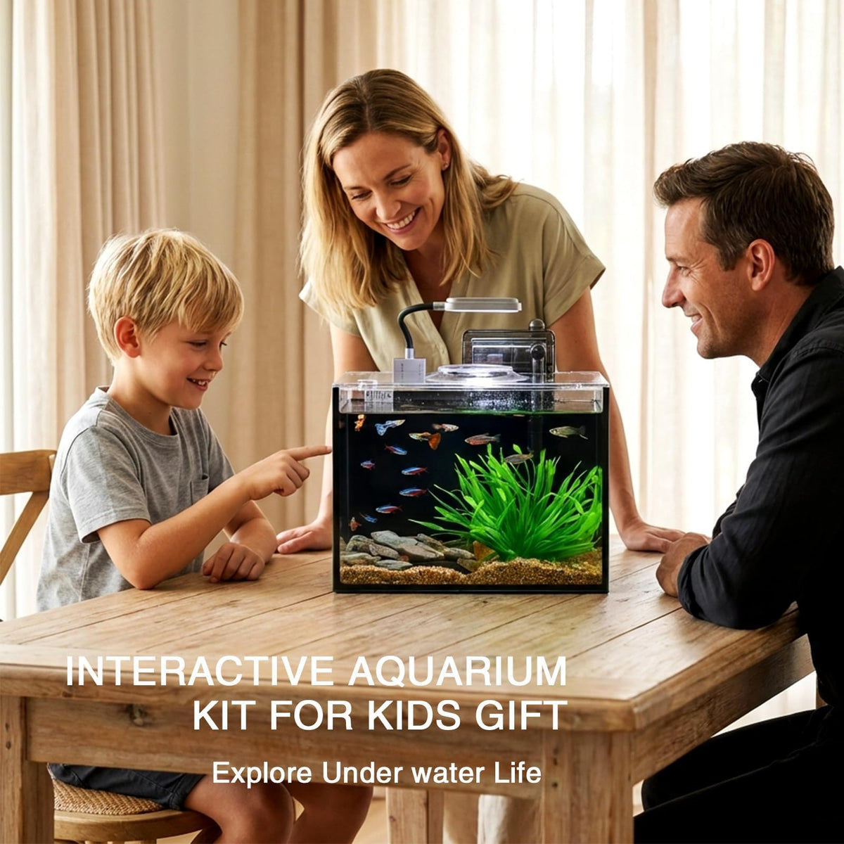 2.5 Gallon Aquarium Starter Kit with Light U961