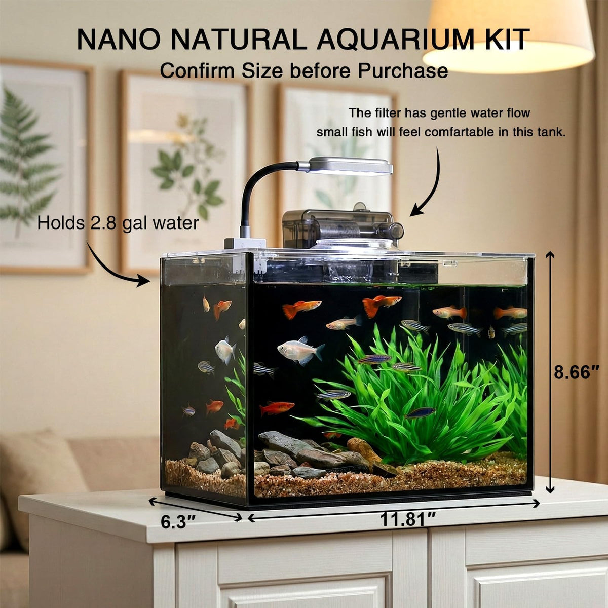 2.5 Gallon Aquarium Starter Kit with Light U961
