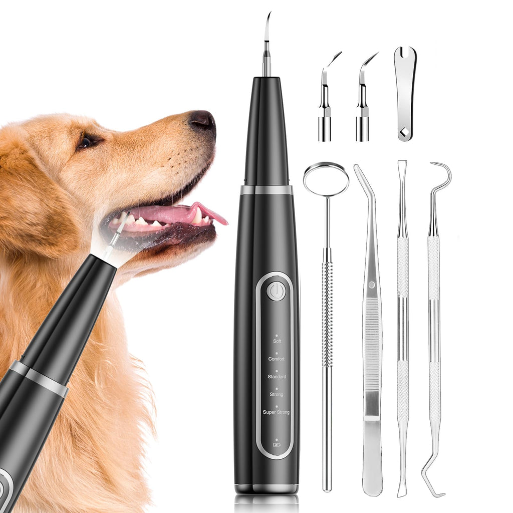 Ultrasonic Dog Teeth Cleaning Kit Q395
