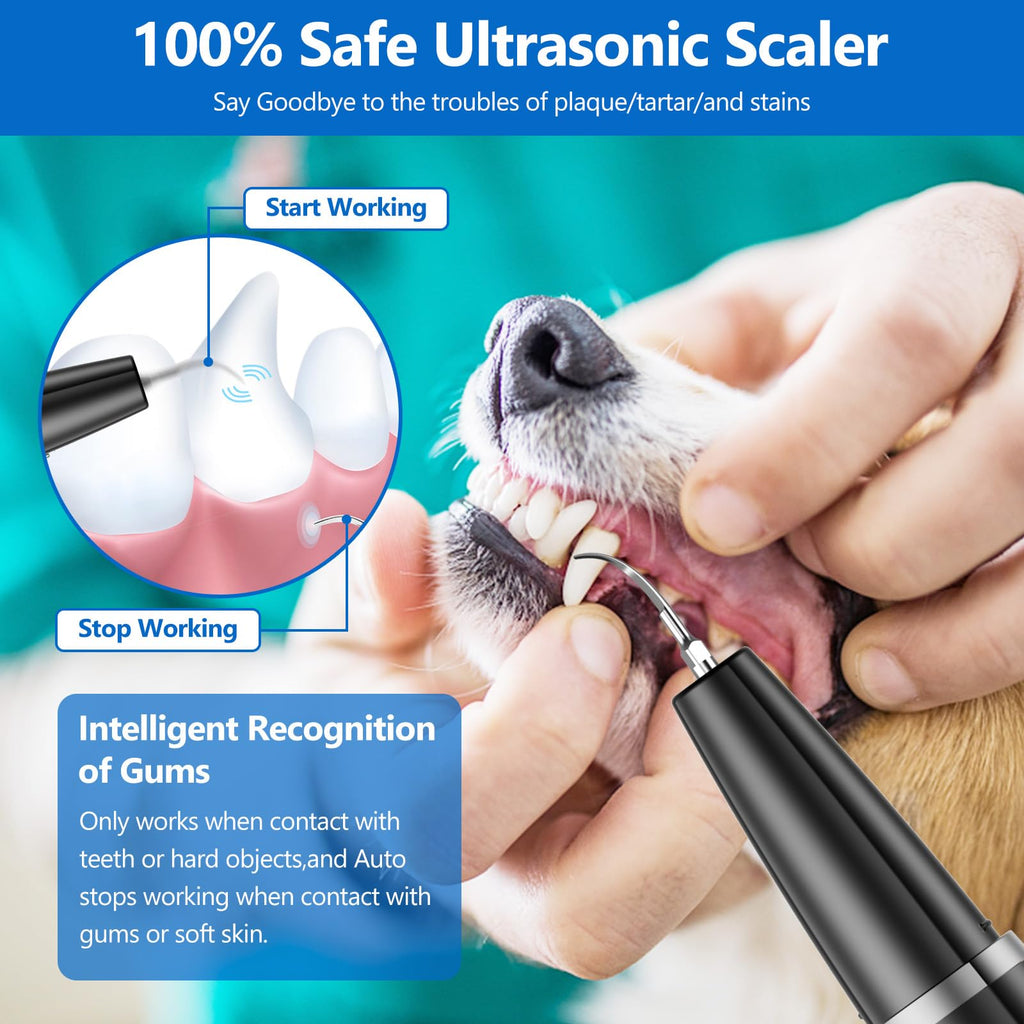 Ultrasonic Dog Teeth Cleaning Kit Q395