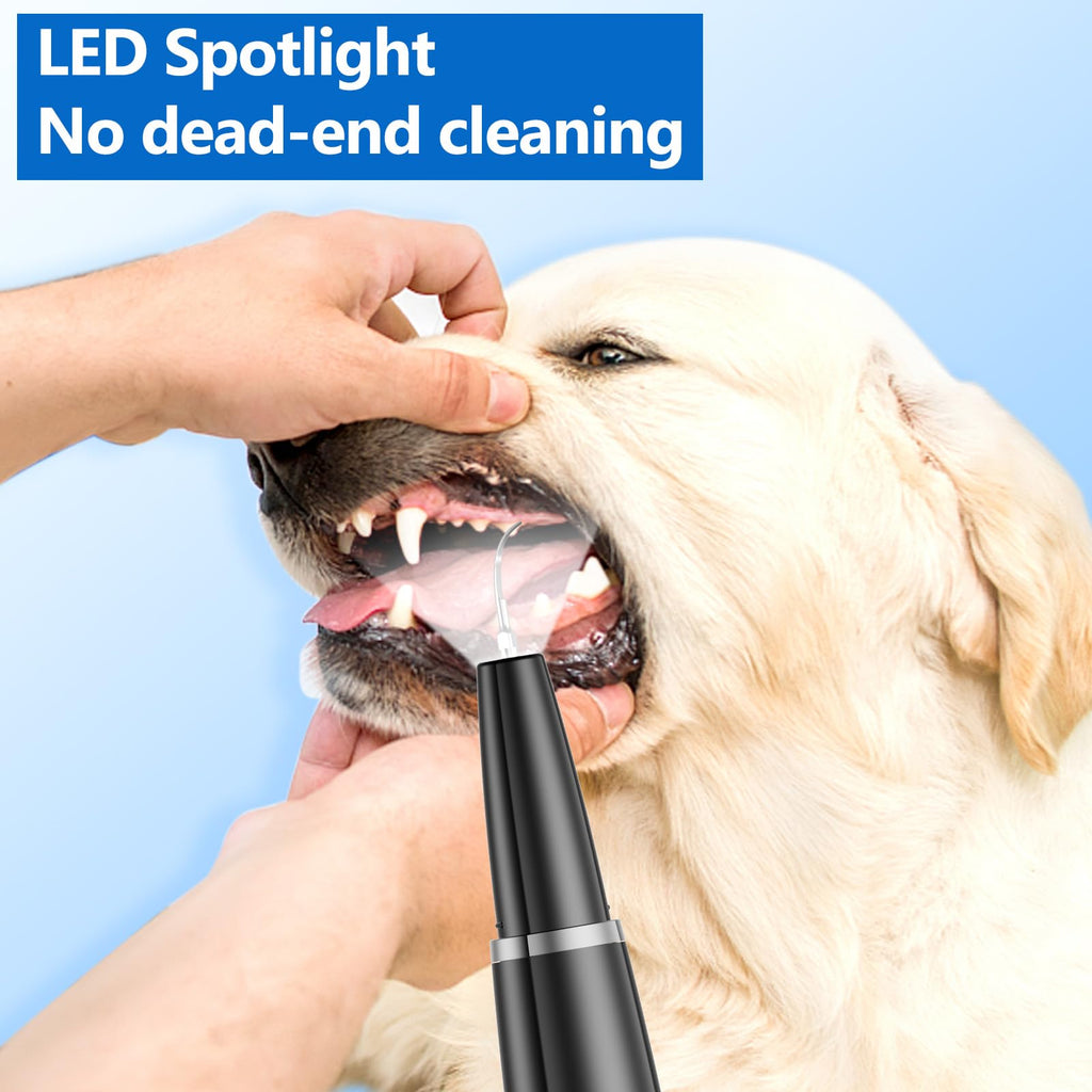 Ultrasonic Dog Teeth Cleaning Kit Q395