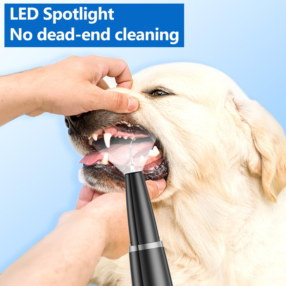 Ultrasonic Dog Teeth Cleaning Kit Q395