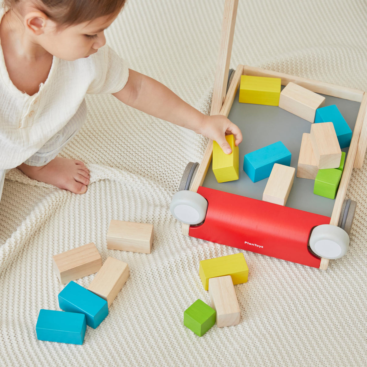 Wooden Baby Walker V7841