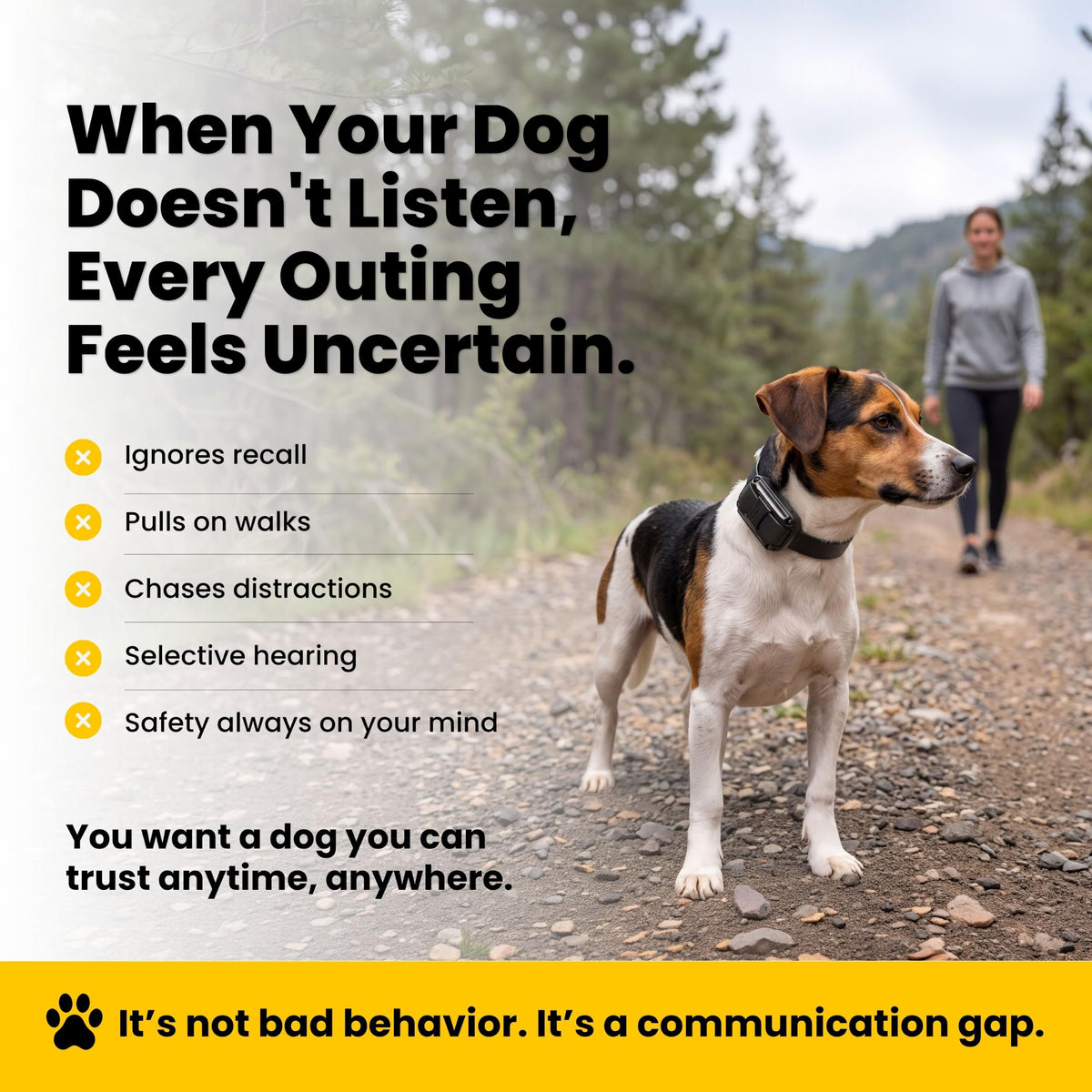 Waterproof Dog Training E Collar with Remote K5940