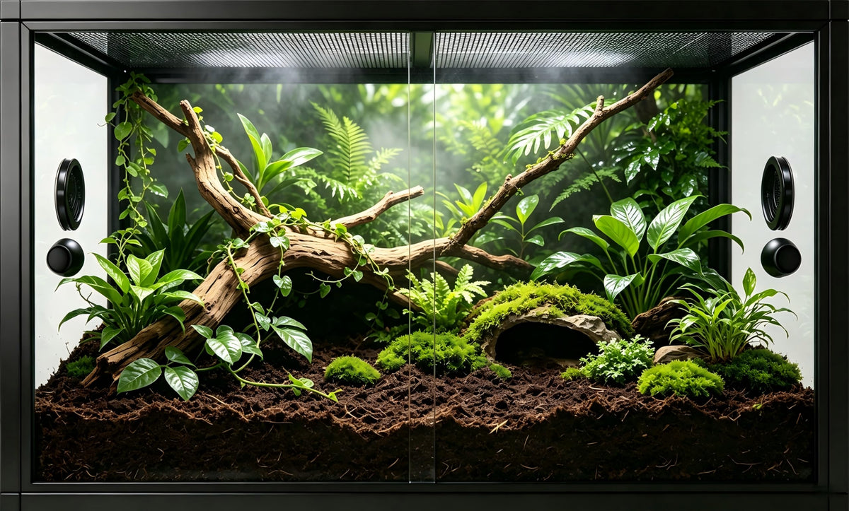 50 Gallon Front Opening Reptile Tank Z84503