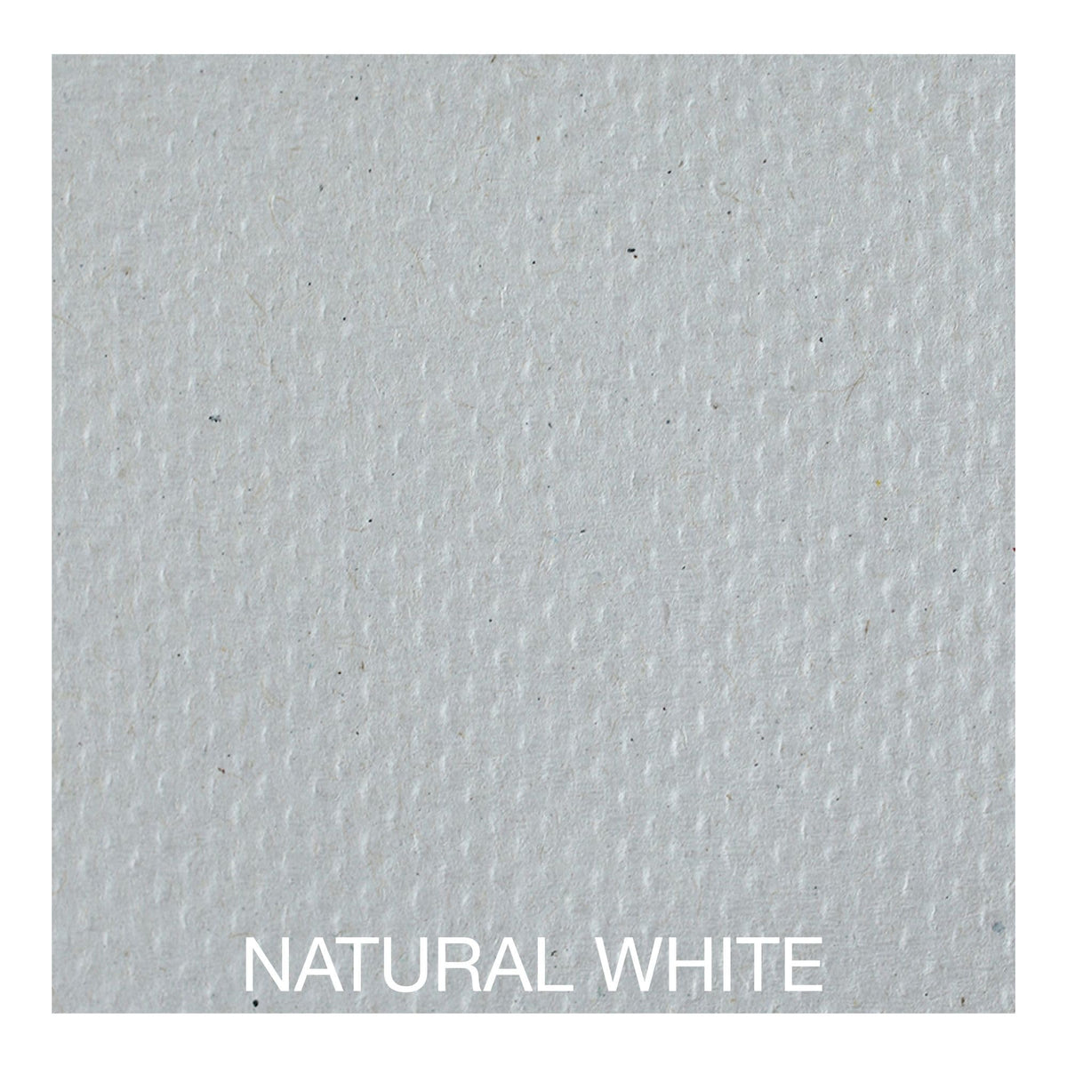 Green Multifold Towels, 250 per Pack, Case of 16 Packs E49555