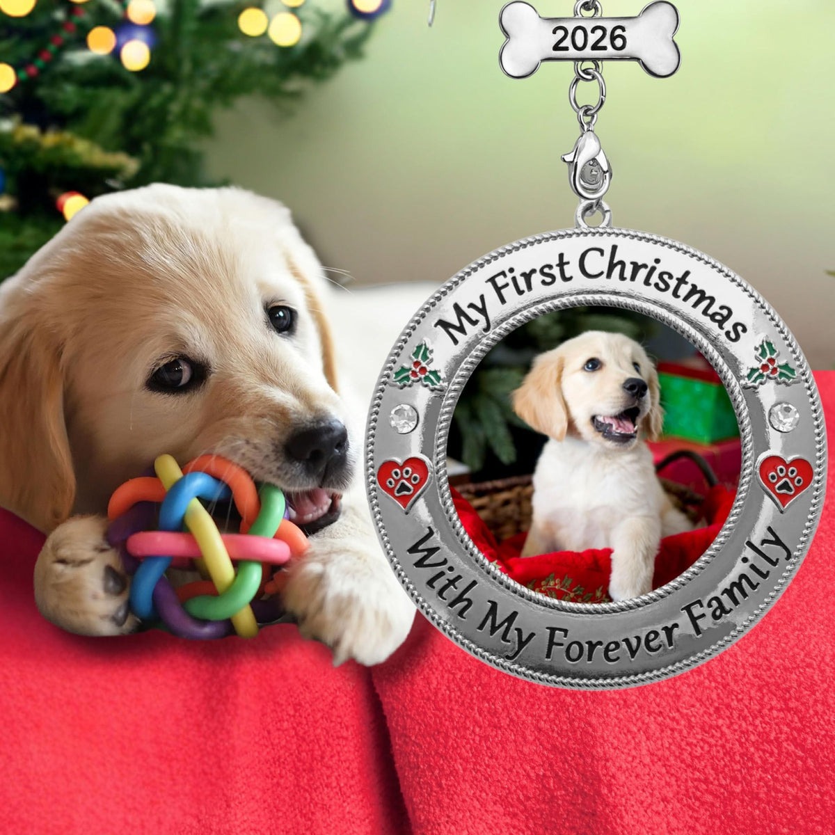 Dog Photo Ornament with Red Heart, 3 Inch P45175