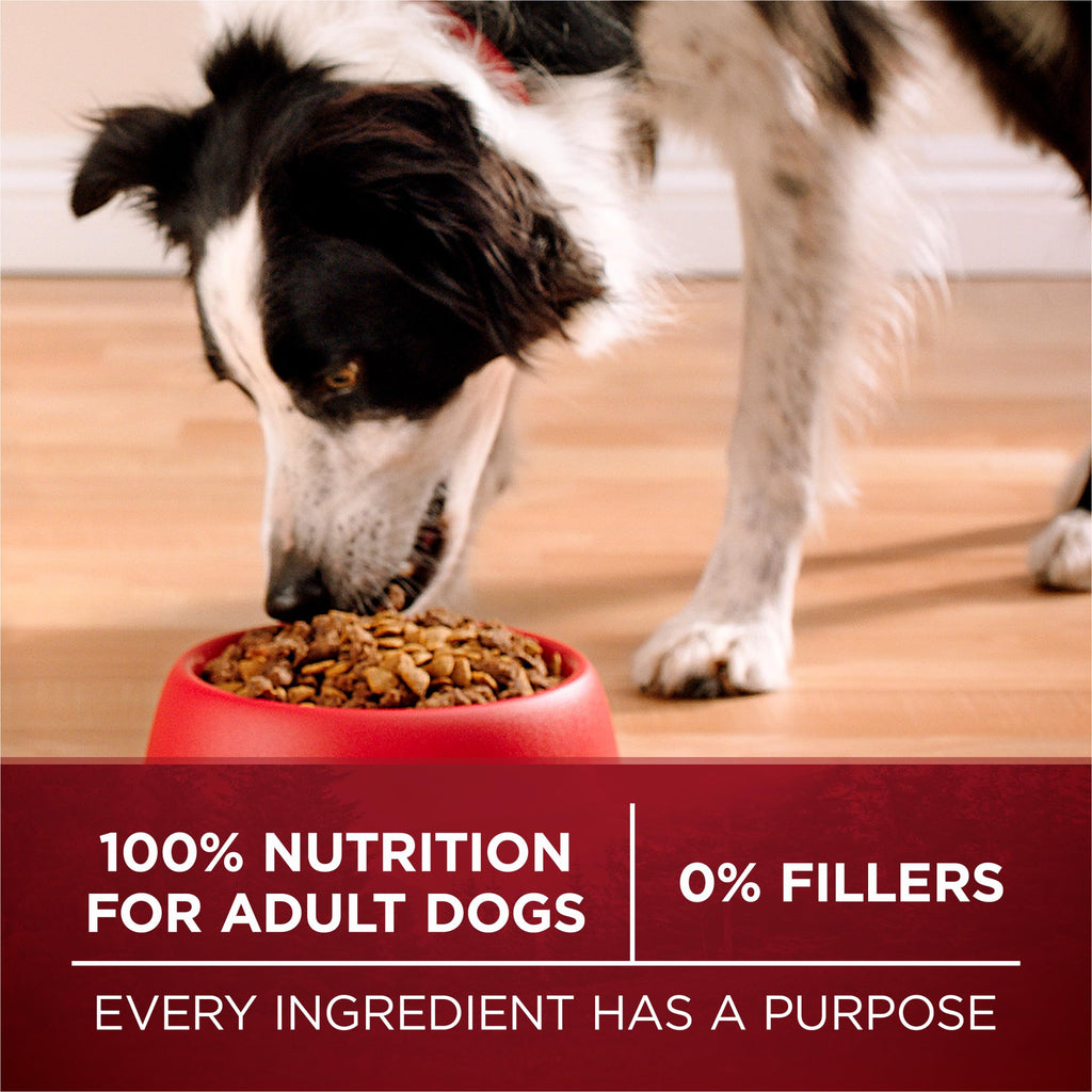 High Protein Chicken & Duck Dog Food V1360