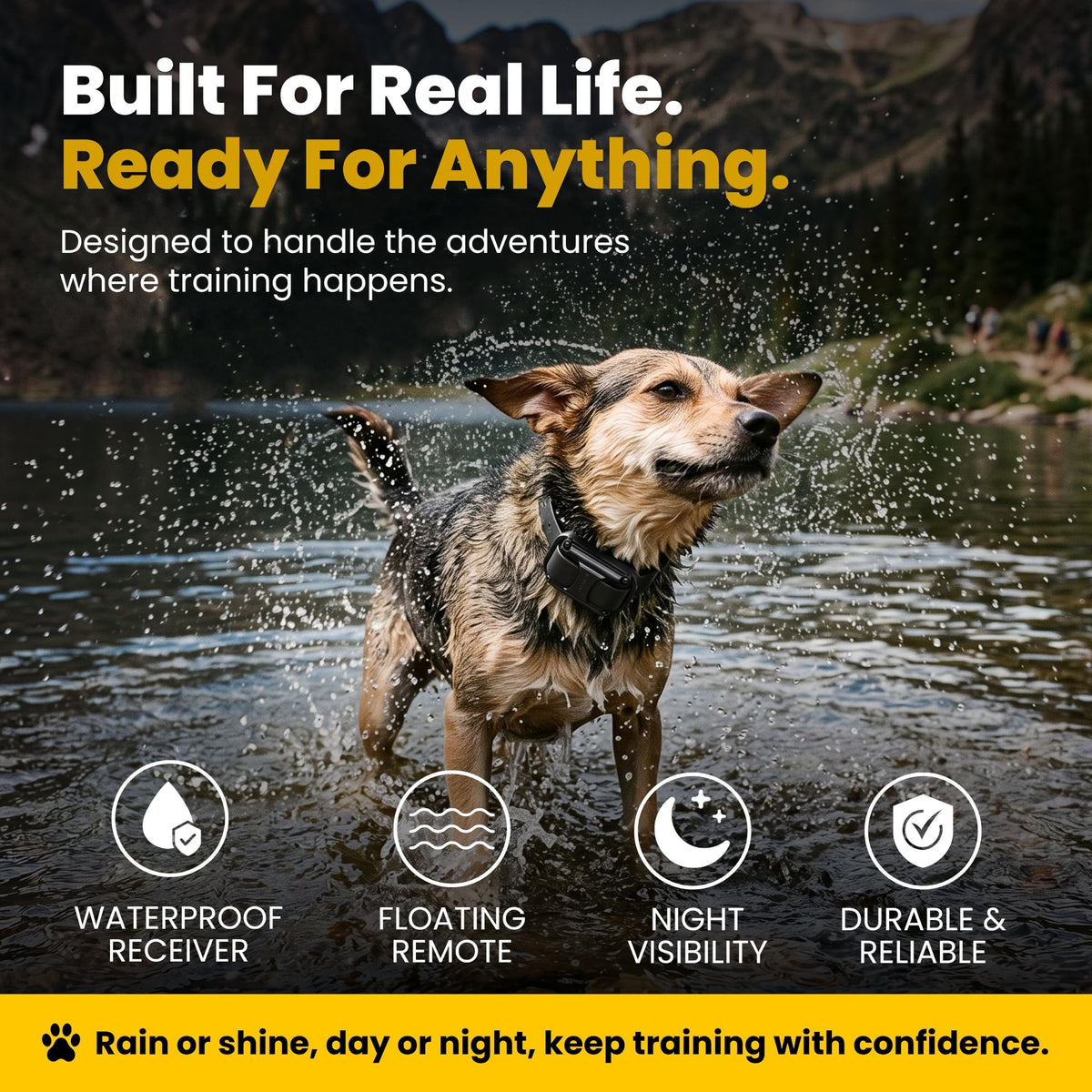 Waterproof Dog Training E Collar with Remote K5940