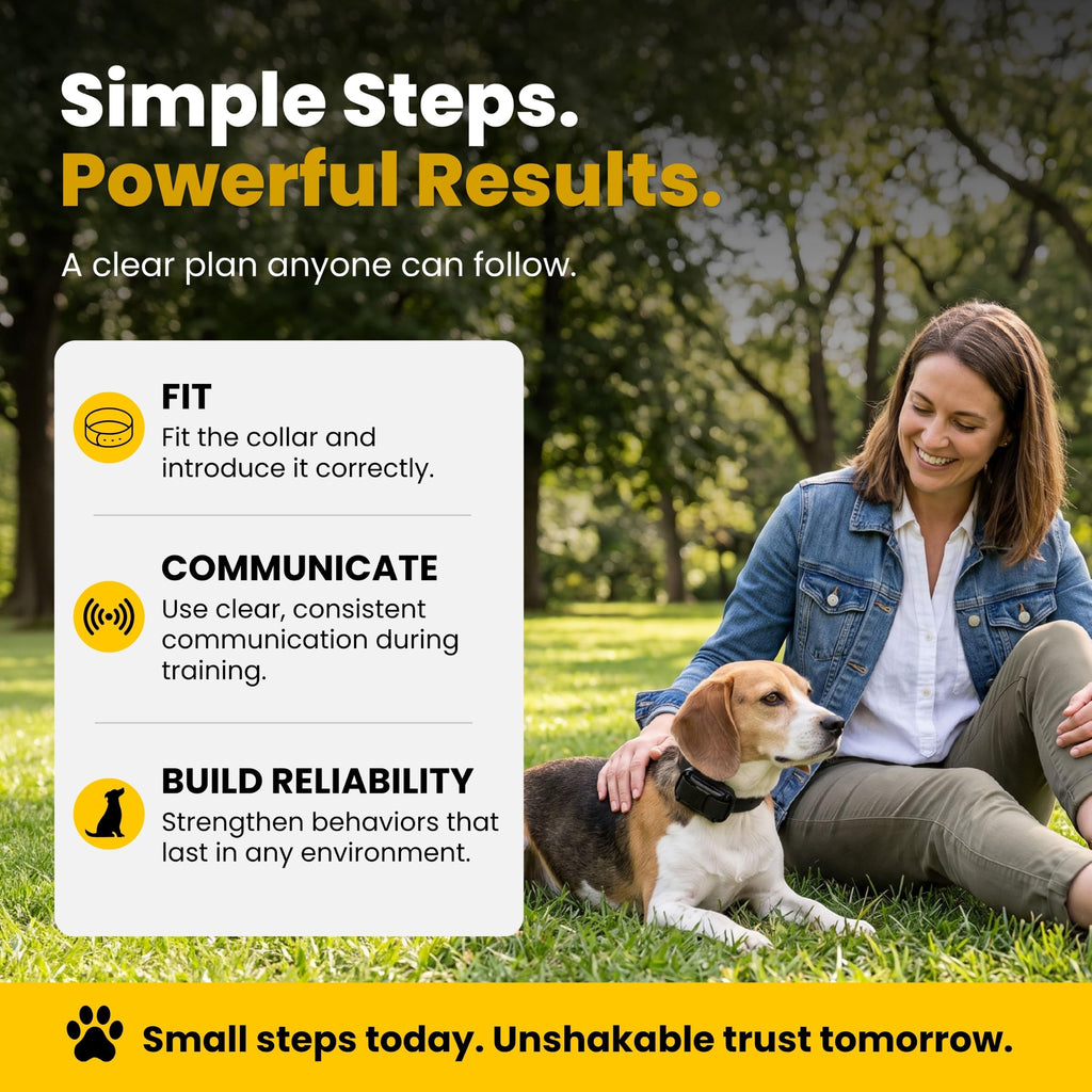Waterproof Dog Training E Collar with Remote K5940
