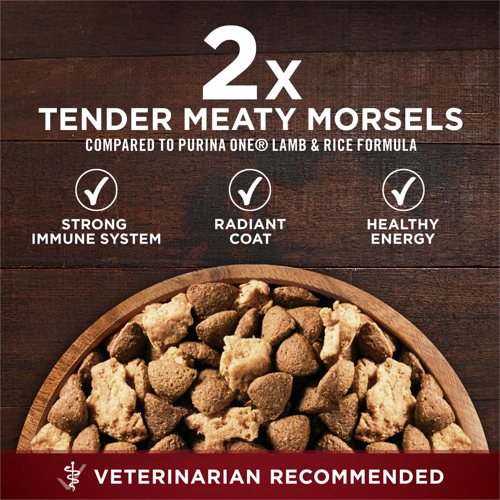 High Protein Chicken & Duck Dog Food V1360