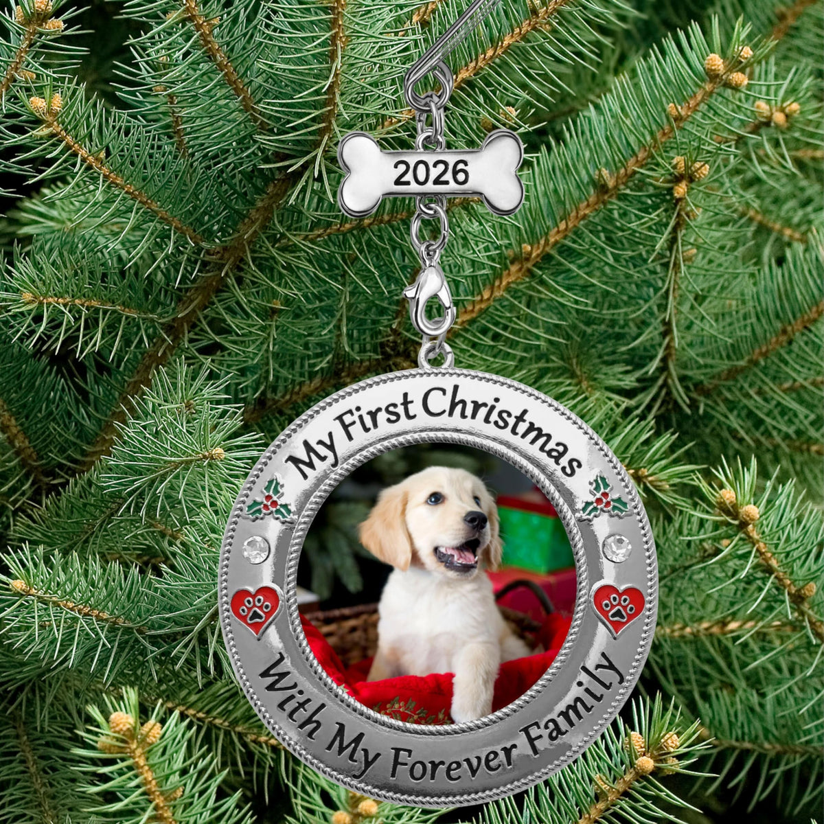 Dog Photo Ornament with Red Heart, 3 Inch P45175